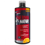 Bigjoy Sports Thermonator Portakal 1000ml